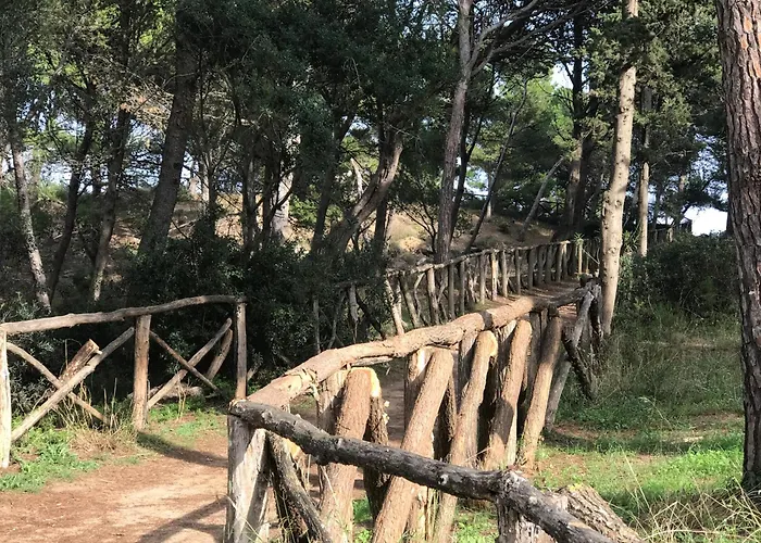 C'est La Vie! Panzió