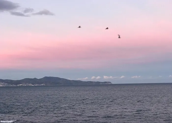 C'est La Vie! Panzió 4*