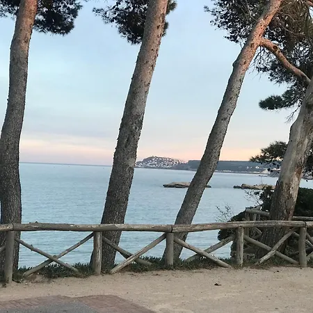 C'est La Vie! Bed & Breakfast