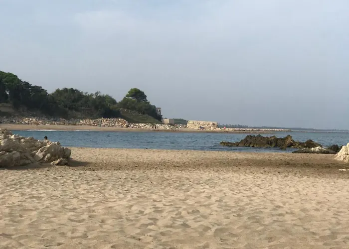 C'est La Vie! 4*